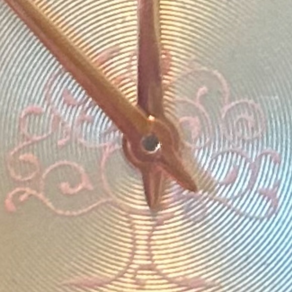 Brown Leather Watch for Women. NWT main image 7